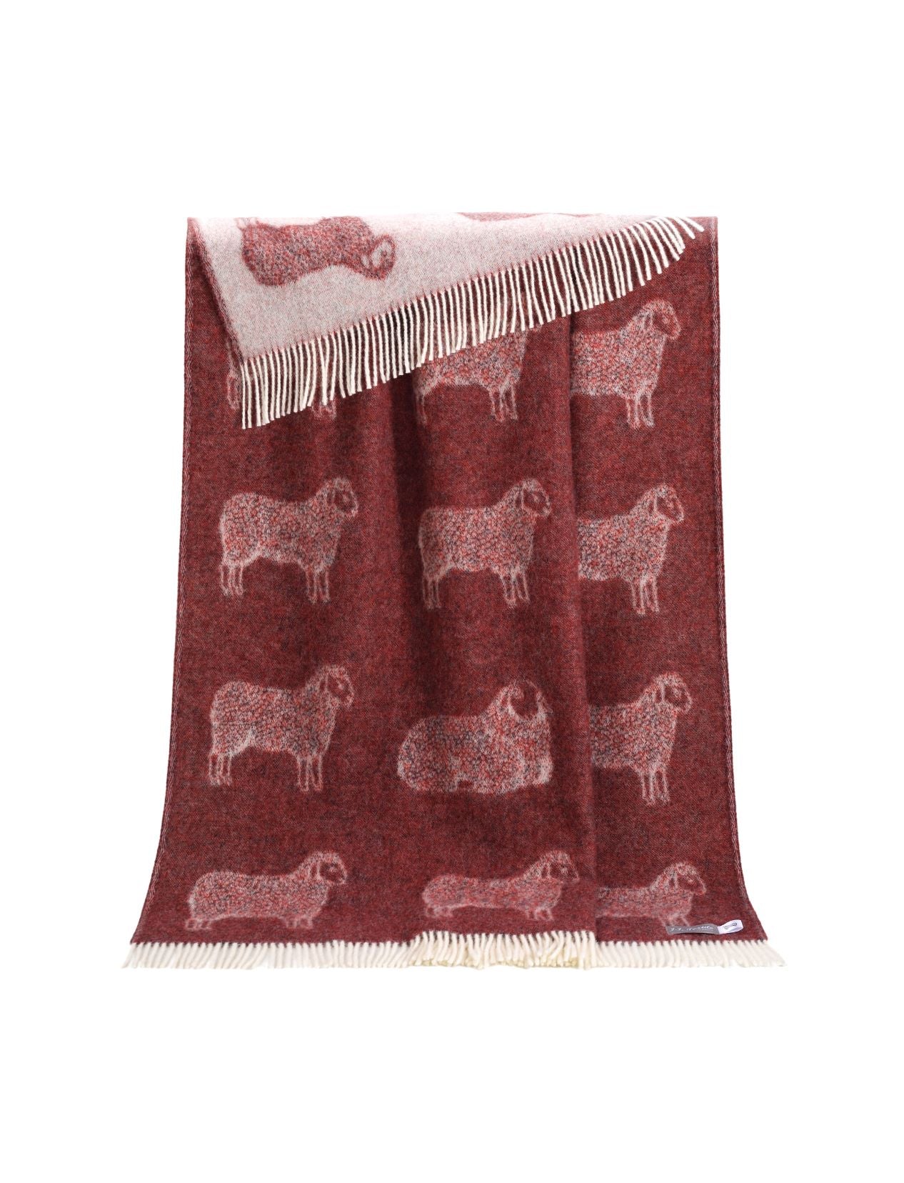 Sheep Wool Throw