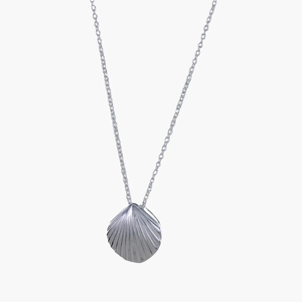 Scallop Shell Silver Necklace