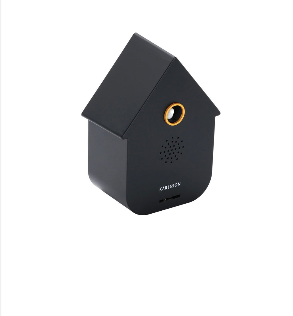 Black Modern Cuckoo Sound Box