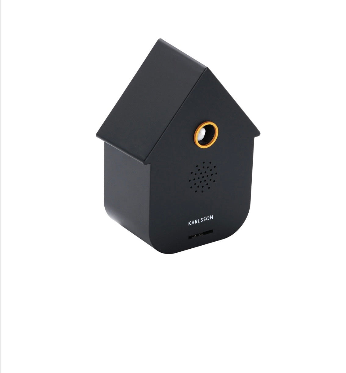 Black Modern Cuckoo Sound Box