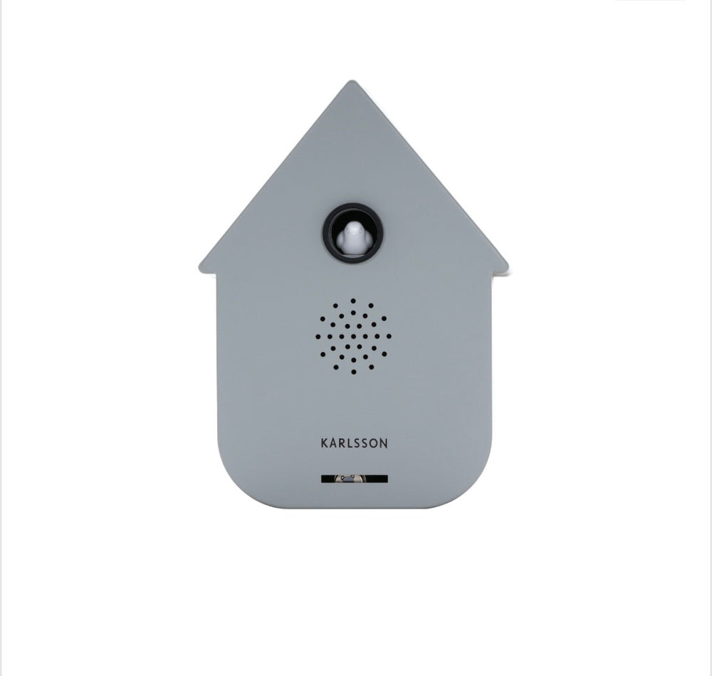 Grey Modern Cuckoo Sound Box