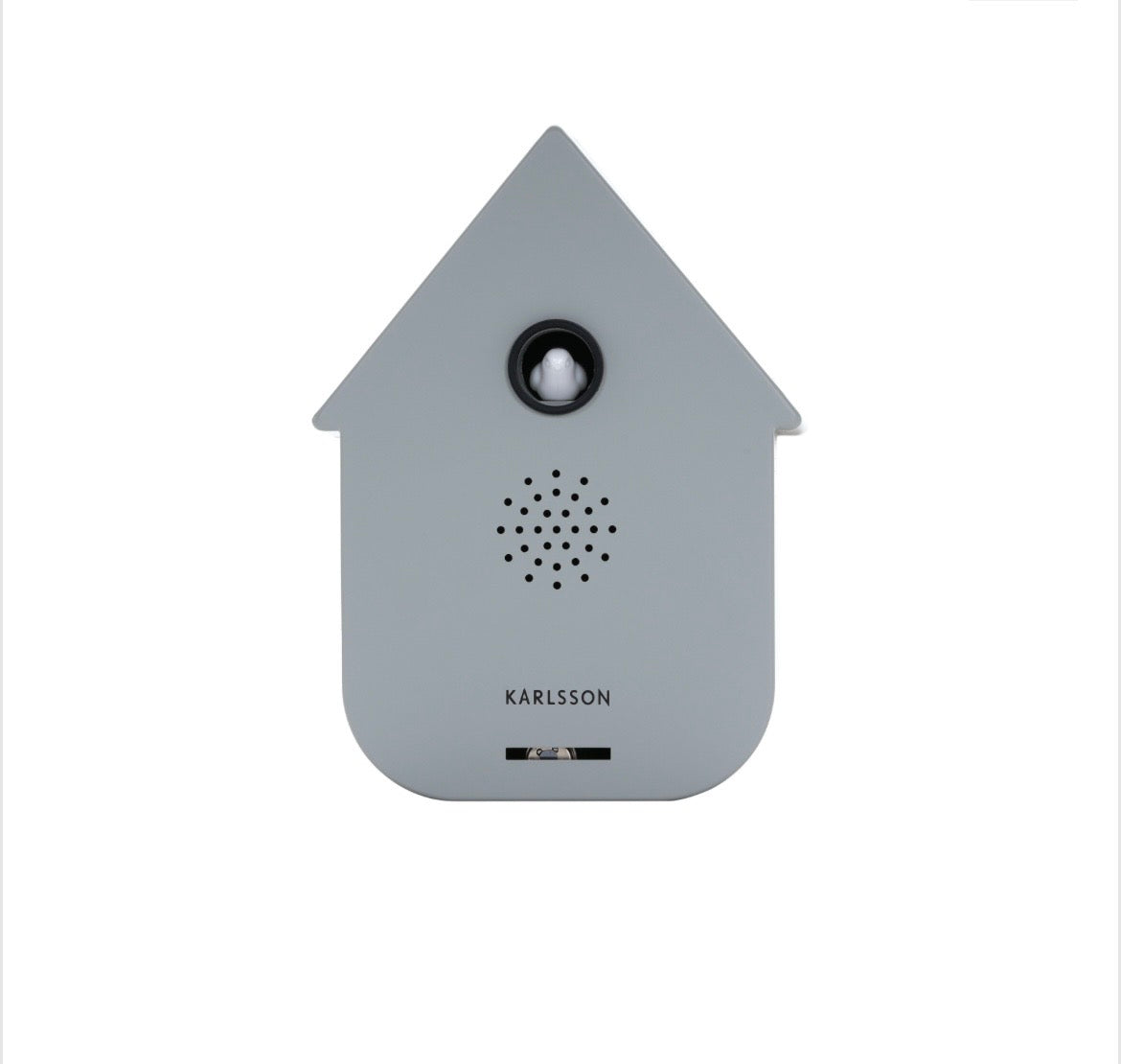 Grey Modern Cuckoo Sound Box