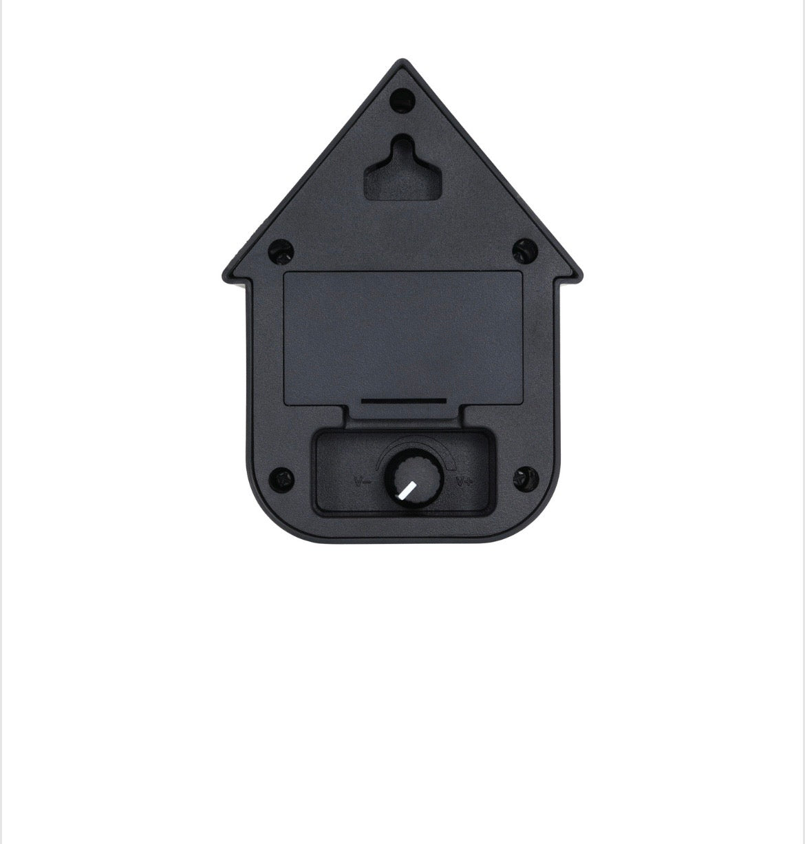Green Modern Cuckoo Sound Box