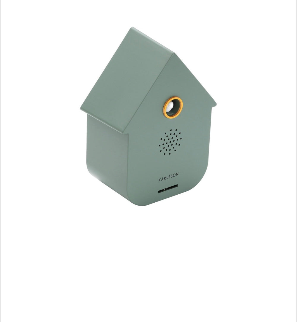 Green Modern Cuckoo Sound Box