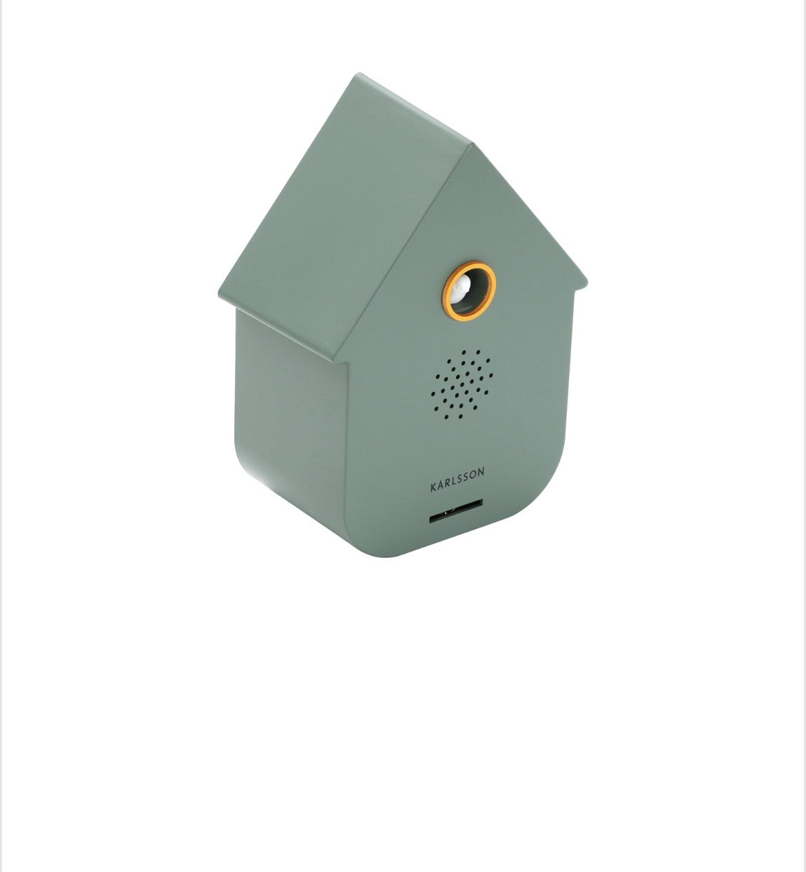Green Modern Cuckoo Sound Box