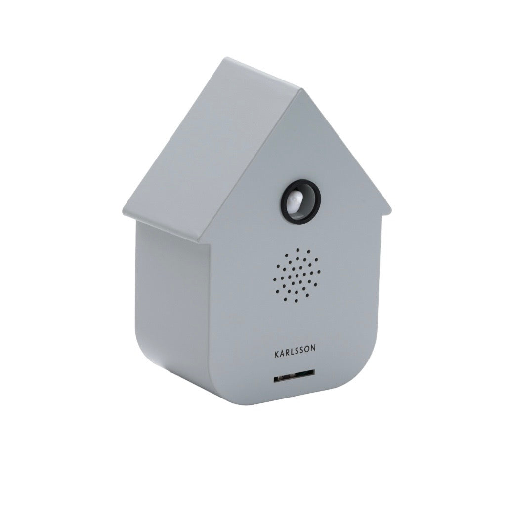 Grey Modern Cuckoo Sound Box