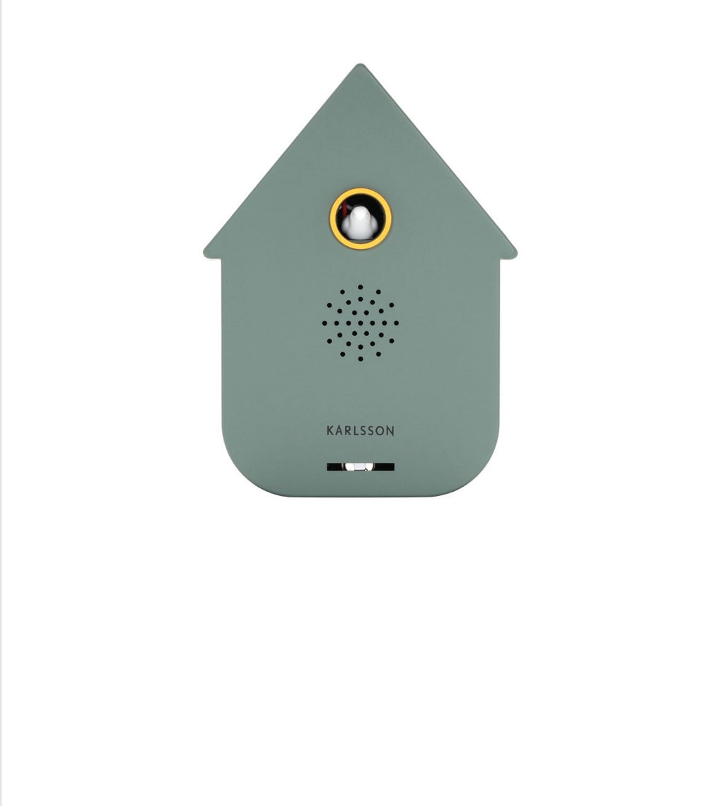 Green Modern Cuckoo Sound Box