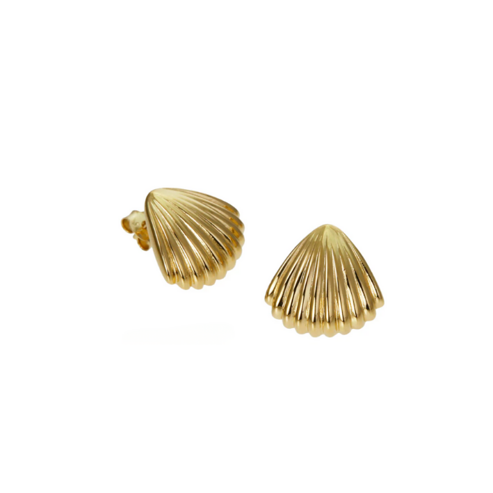 Gold Seashell Earrings