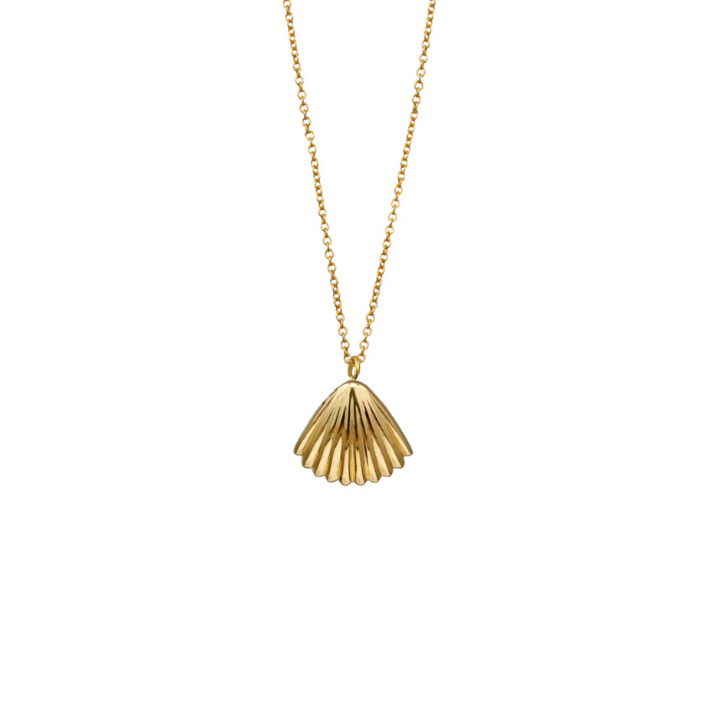 Gold Seashell Necklace
