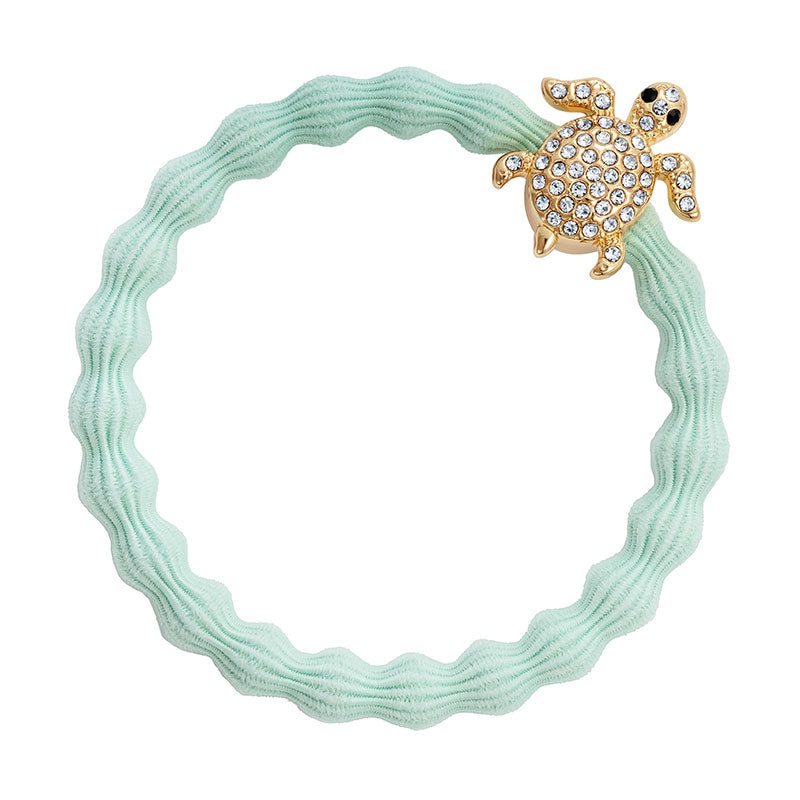 Sparkly Turtle Band