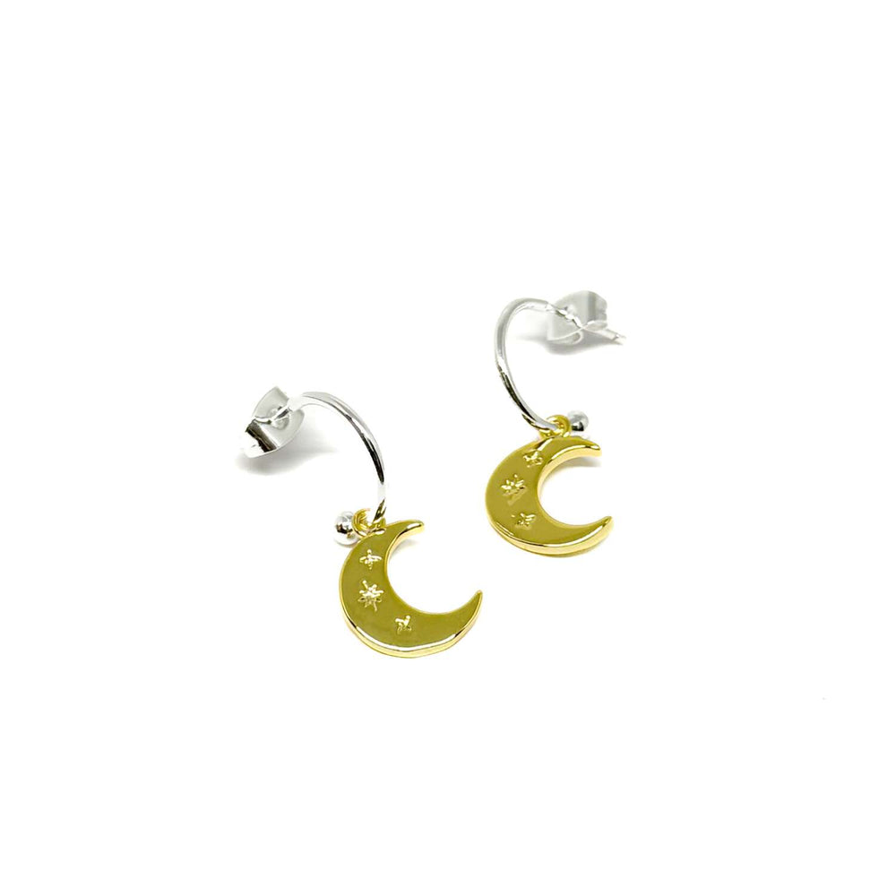 Moon and Star Earrings